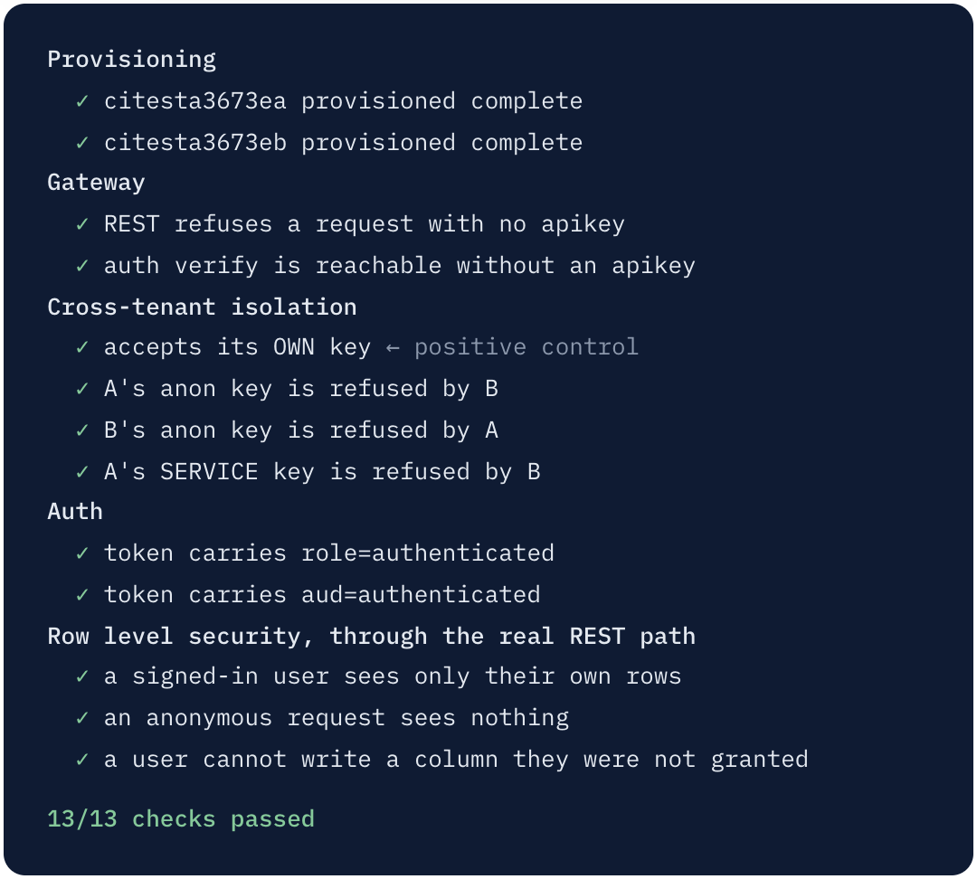 Test output: 13 of 13 checks passed, including cross-tenant isolation.